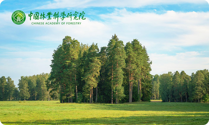 尚品中國(guó)承接中國(guó)林業(yè)科學(xué)研究院網(wǎng)站建設(shè)項(xiàng)目