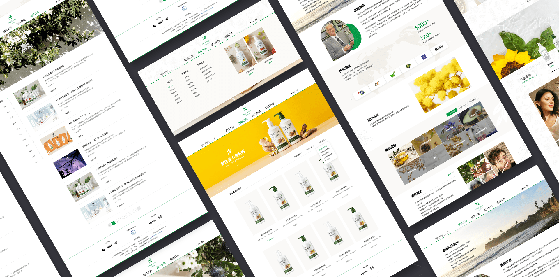 網(wǎng)站設(shè)計(jì)